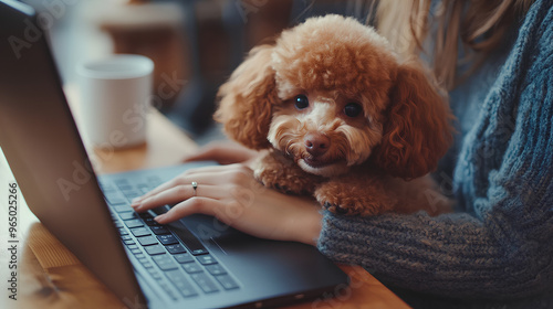 dog next to a woman working on her laptop