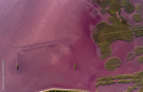 Aerial and top angle view of suaeda japonica on mud flat at low tide at Suncheon Bay near Suncheon-si, South Korea  photo