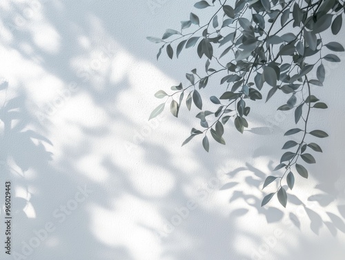 Abstract natural tree leaves shadow on white wall background -ai