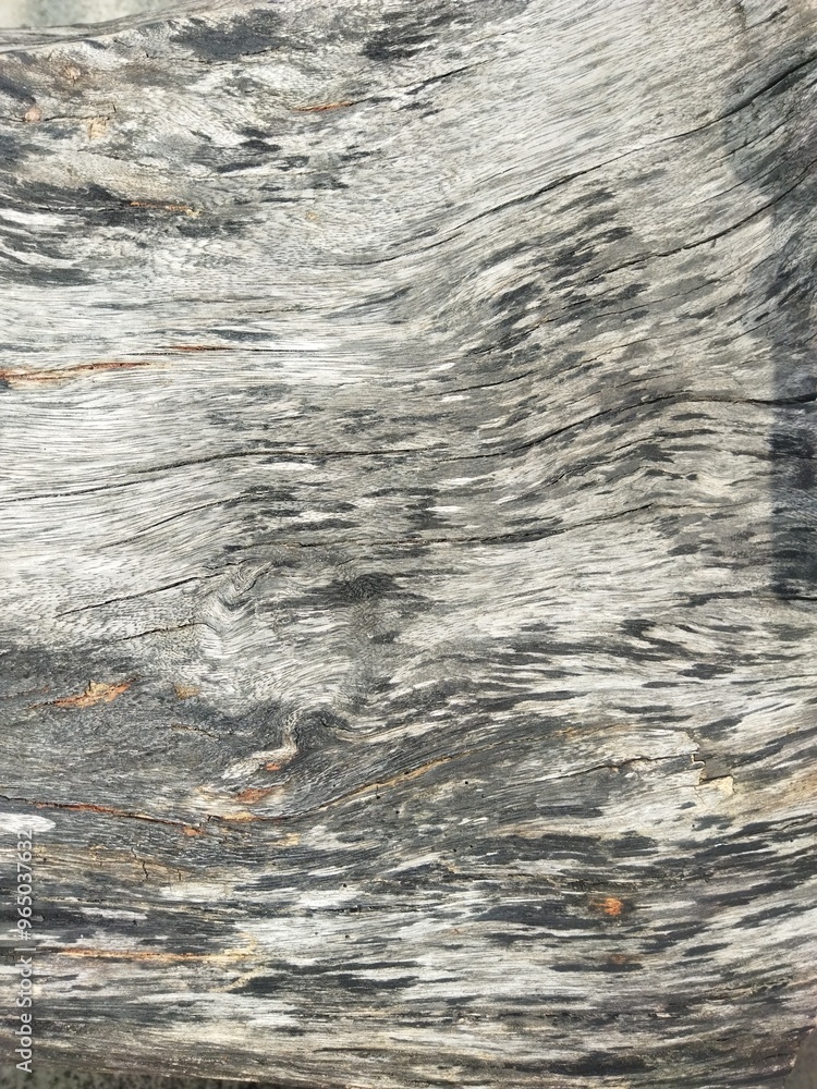 Fototapeta premium background texture of old wood surface