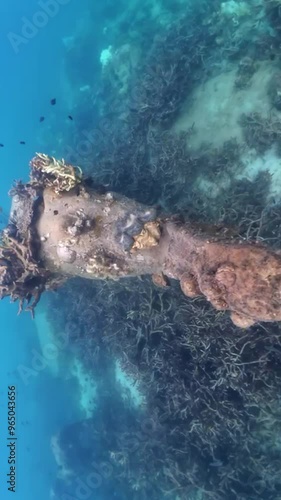 Underwater coral reef with fishes. photo