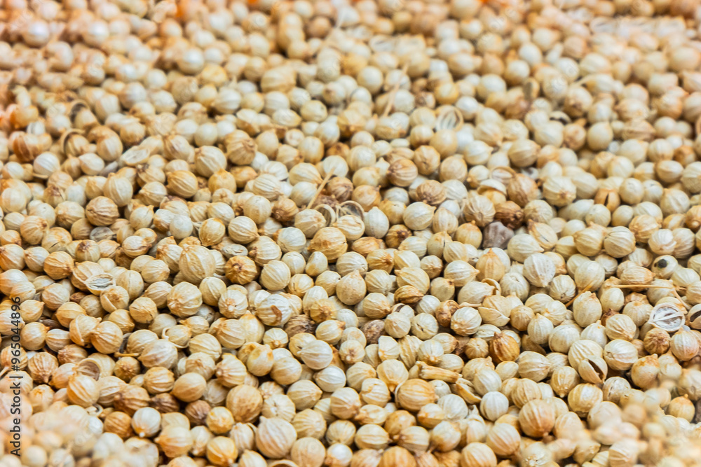 close up of coriander. traditional Indonesian Spices close up of coriander. traditional Indonesian Spices