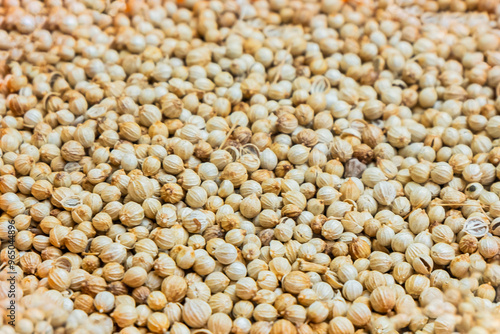 close up of coriander. traditional Indonesian Spices photo