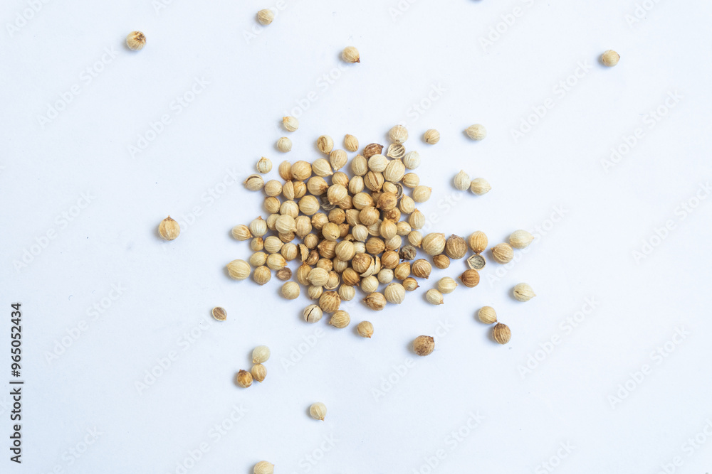 coriander on white background coriander on white background