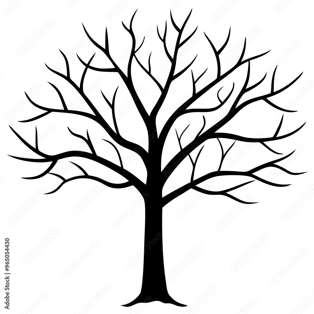 Silhouette of Tree without leaves Silhouette of Tree without leaves