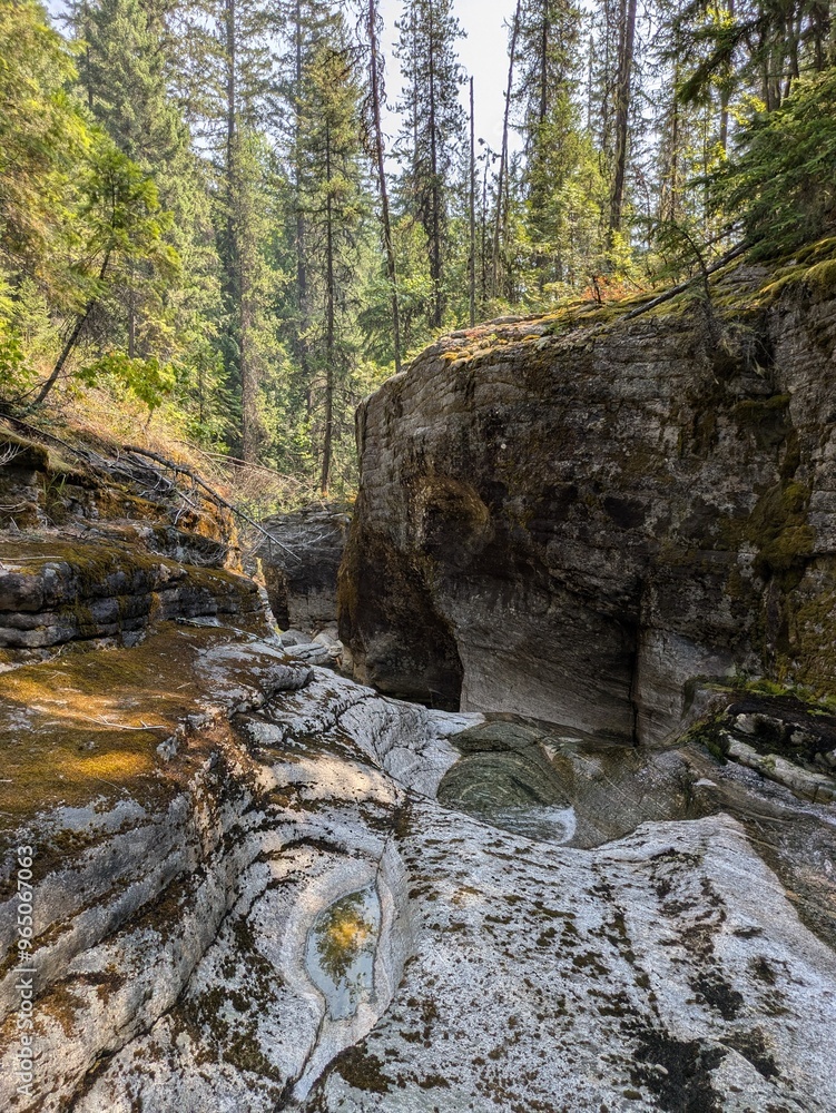 Unnamed Creek, Very Private, Many visitors, Preference its private, has a bear population, you could encounter a large animal trying to take these photos Unnamed Creek, Very Private, Many visitors, Preference its private, has a bear population, you could encounter a large animal trying to take these photos