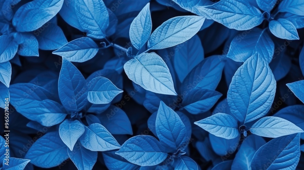 A close-up of vibrant blue leaves, showcasing intricate details and a captivating texture. A close-up of vibrant blue leaves, showcasing intricate details and a captivating texture.