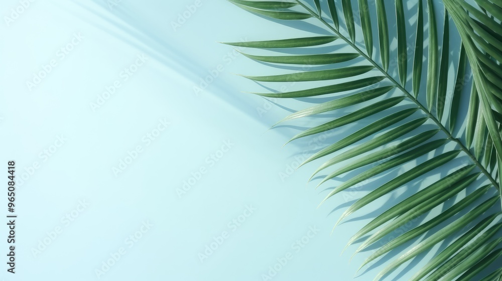 Fototapeta premium A single palm leaf casts a shadow on a light blue background, creating a minimalist and tropical design.