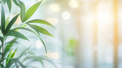beautiful bright blurred office banner background with glass elements and lights and green plants - ai