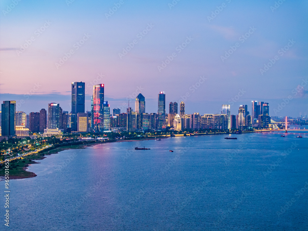 Fototapeta premium city skyline at night