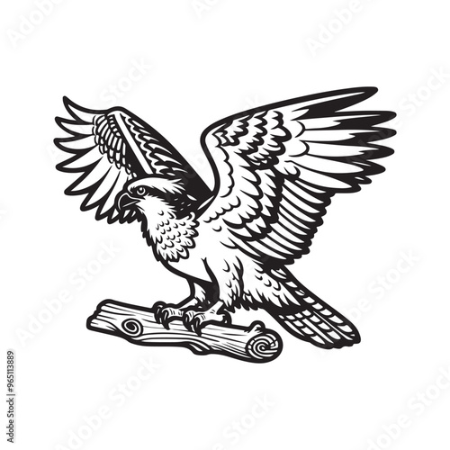 Line art of a hawk perches on a branch. cartoon vector