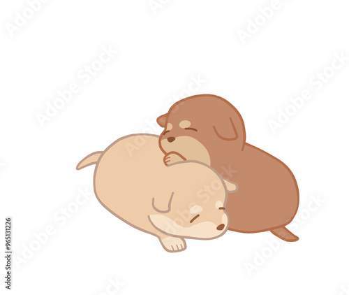 白と茶色の柴犬の子犬