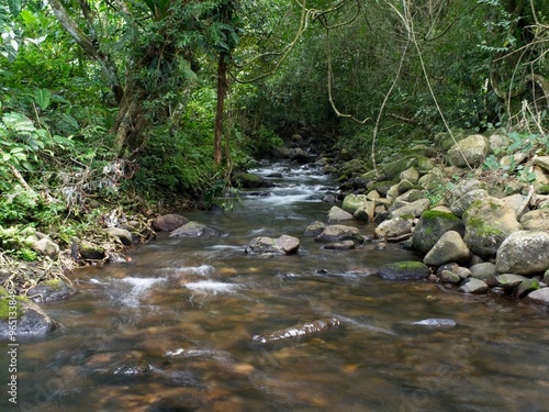 A small stream flowing in a Panama woodland