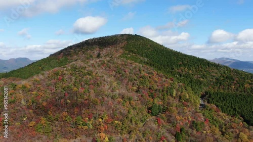 大分県由布市山林のドローン映像