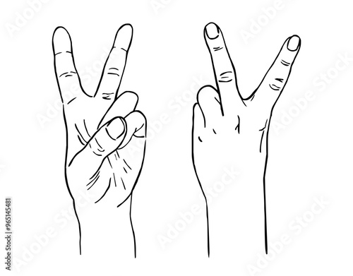female hands showing peace v sign victory gesture  line drawing vector illustration