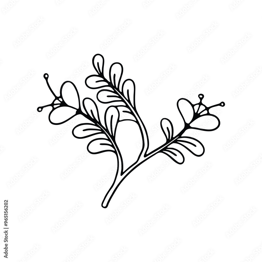 A black and white line art illustration of a delicate flower branch. A black and white line art illustration of a delicate flower branch.