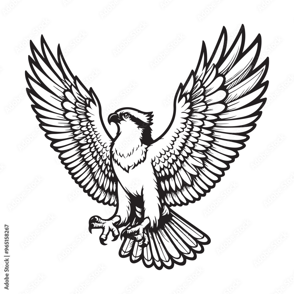 Obraz premium Line art of hawk cartoon flying and spreading the wings vector