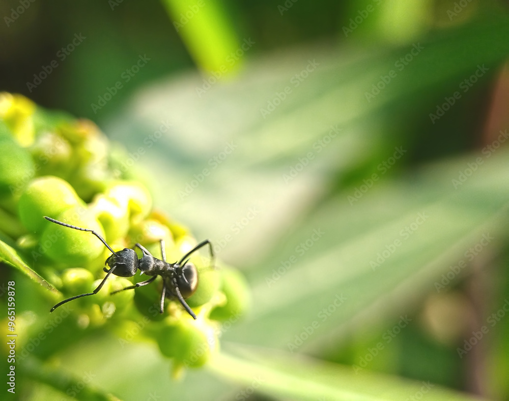 pests that destroy plants but also have benefits for other plants and as a life ecosystem pests that destroy plants but also have benefits for other plants and as a life ecosystem