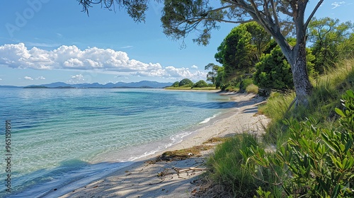 Fototapeta Naklejka Na Ścianę i Meble -  A beautiful beach with a tree in the background