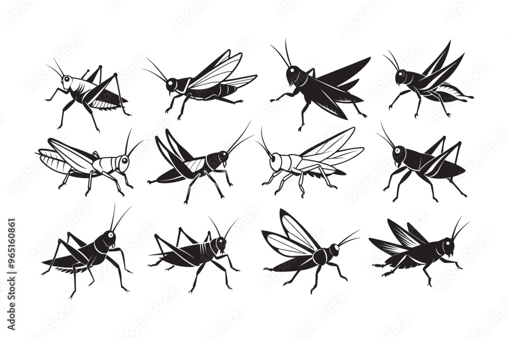 Grasshopper silhouette vector illustration, Grasshopper silhouette vector bundle , Grasshopper silhouette bundle design Grasshopper silhouette vector illustration, Grasshopper silhouette vector bundle , Grasshopper silhouette bundle design
