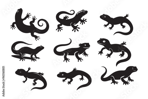 Gecko silhouette vector illustration, Gecko silhouette vector, Gecko silhouette PNG 