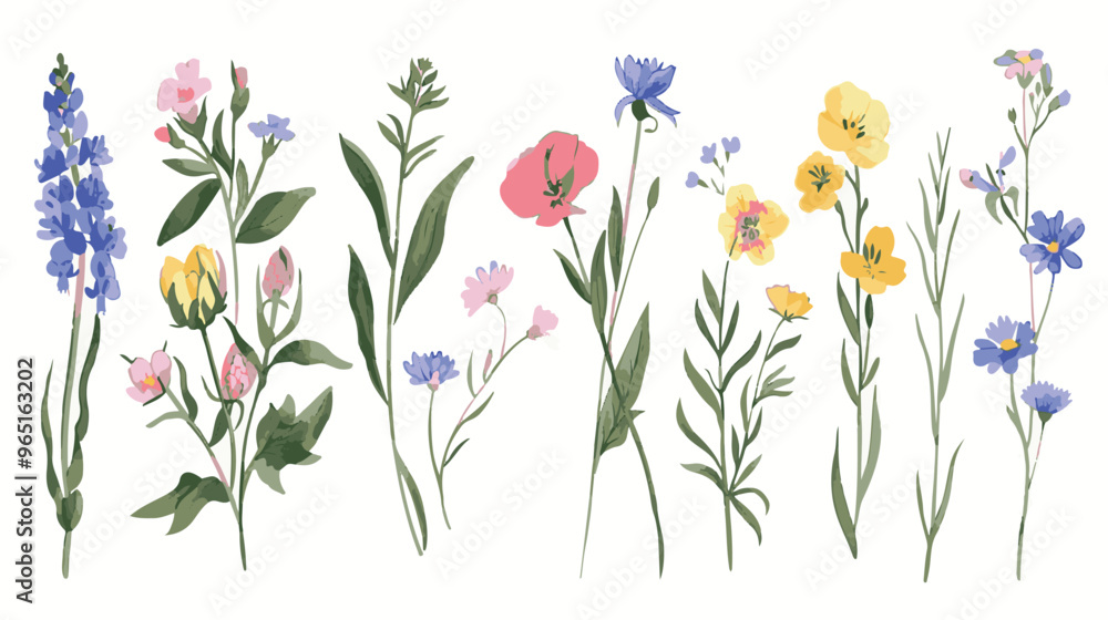 set of pencil style colorful birth flowers on a white background set of pencil style colorful birth flowers on a white background