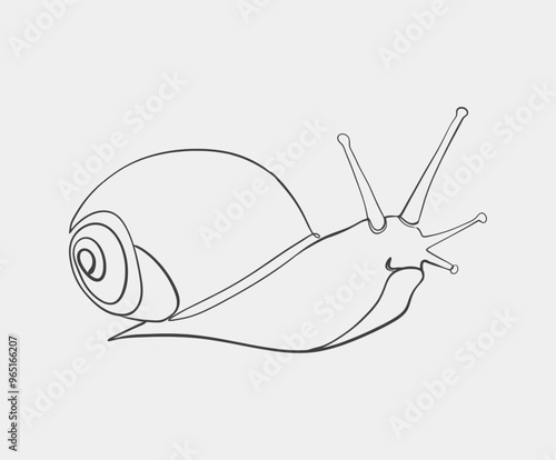 Minimalist line drawing of a snail with a spiraled shell, showcasing simplicity and natural form in abstract style.