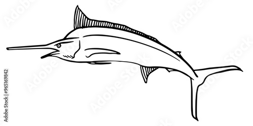Marlin sketch vector illustration. Depicts ocean or sea fish species. Ideal for seafood restaurant logos, fishing sport clubs, fishery industry branding, and fish market signage.