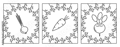 Vegetables - green onions, carrots, beets framed with dill leaves. Set of black and white vector icons.