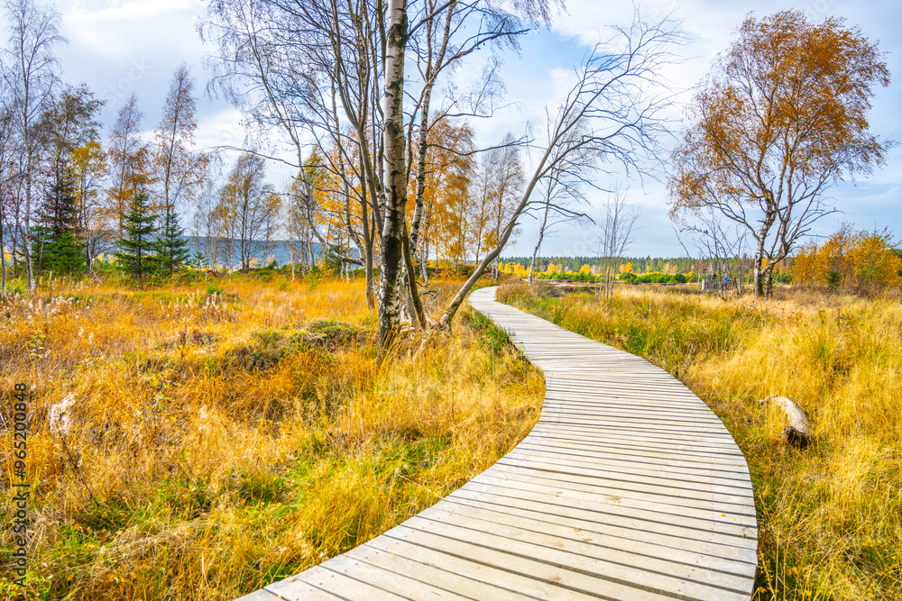 A winding wooden path meanders through the vibrant autumn colors of the Pernink peat bog in the Ore Mountains, inviting explorers to immerse themselves in nature's serene beauty. A winding wooden path meanders through the vibrant autumn colors of the Pernink peat bog in the Ore Mountains, inviting explorers to immerse themselves in nature's serene beauty.