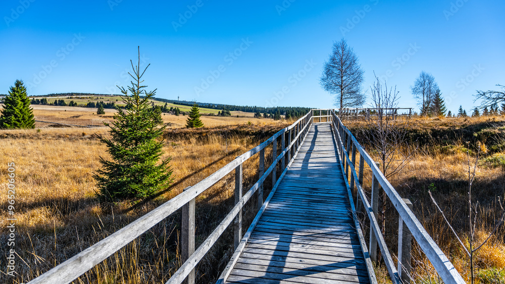 A wooden boardwalk leads through the expansive Bozi Dar Peat Bog, showcasing vibrant vegetation against the backdrop of the Ore Mountains under a clear blue sky. A wooden boardwalk leads through the expansive Bozi Dar Peat Bog, showcasing vibrant vegetation against the backdrop of the Ore Mountains under a clear blue sky.