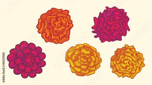 Set of hand drawn marigold, cempasuchil flowers. Flores del dia de muertos.