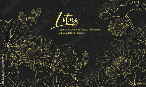 Hand drawn elegant linear illustration of lotus leaves on a dark background
