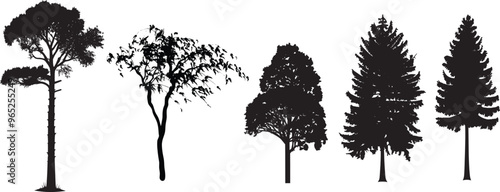 Realistic trees in black and white color, nature park silhouette icons collection. Different trees and Forest trees with grass meadows. Vector illustration.