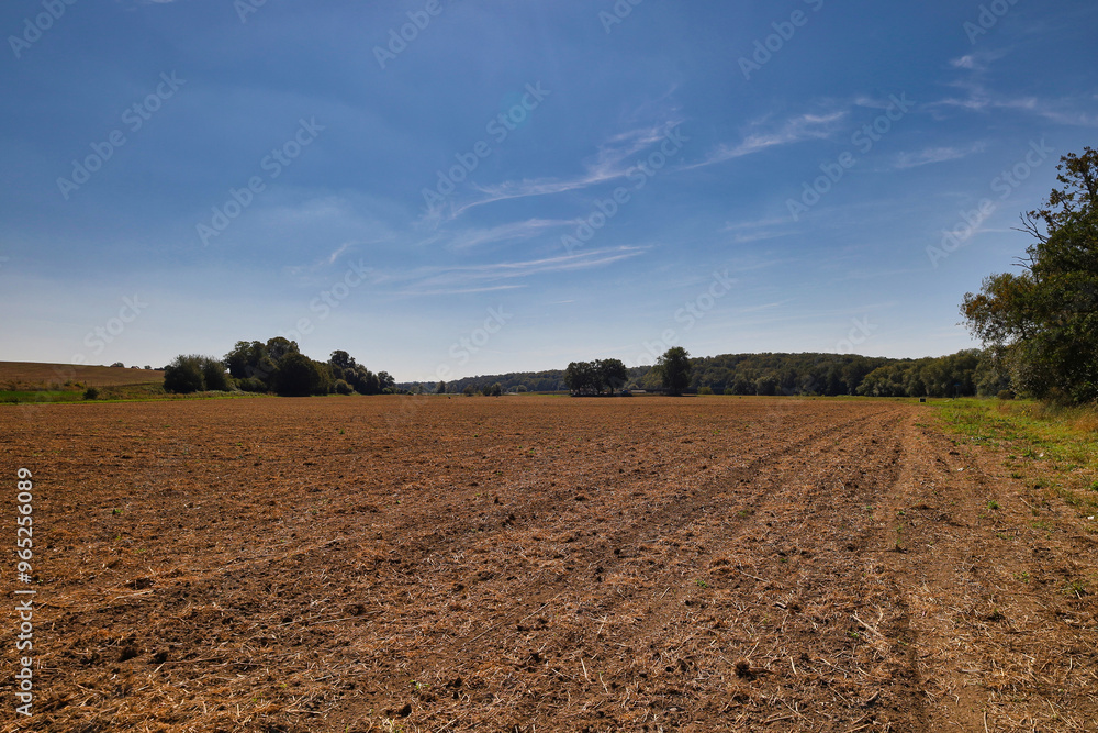Muldental bei Grimma, Grimma an der Mulde, Landkreis Leipziger Land, Sachsen, Deutschland Muldental bei Grimma, Grimma an der Mulde, Landkreis Leipziger Land, Sachsen, Deutschland