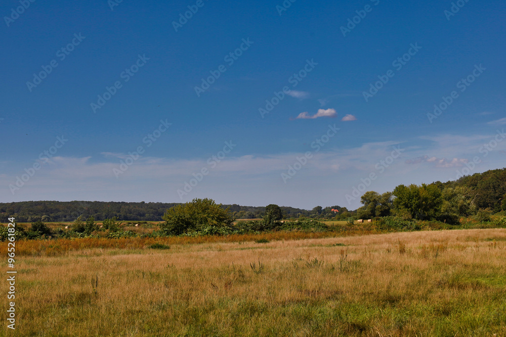 Muldental bei Grimma, Grimma an der Mulde, Landkreis Leipziger Land, Sachsen, Deutschland Muldental bei Grimma, Grimma an der Mulde, Landkreis Leipziger Land, Sachsen, Deutschland