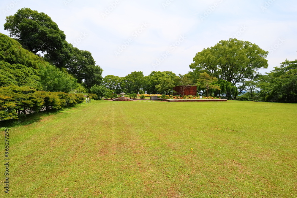 Naklejka premium 広々とした芝生の広場と青空