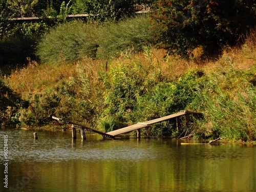 A wooden pier extends over a lake in the countryside