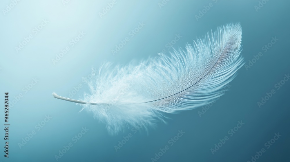 Obraz premium Delicate white feather floating on soft blue background