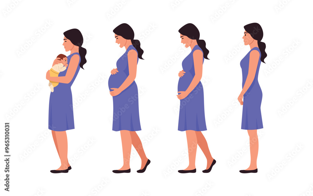 Fototapeta premium Vector illustration of pregnancy period. Cartoon scene of a beautiful woman with a flat tummy, a growing tummy and holding a baby in her arms isolated on a white background. From conception to birth.