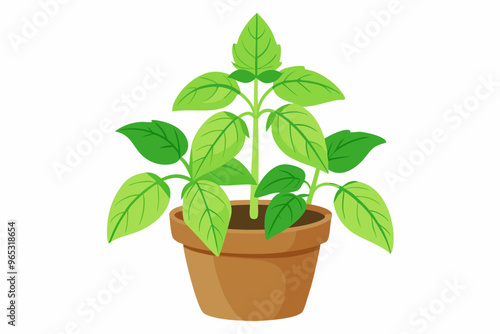 Decorative houseplant planted in ceramic pot garden potted plants isolated vector illustration