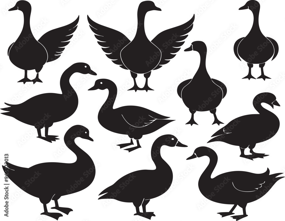 Fototapeta premium Duck Artistic Silhouette Elements in Black