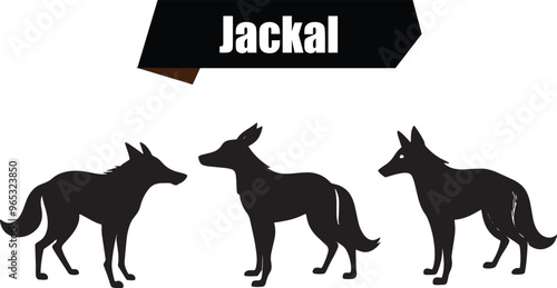 Jackal Flat Black Silhouette Vector Art Bundle