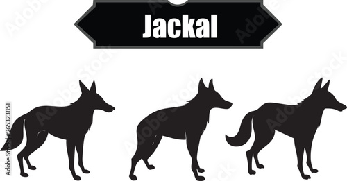 Jackal Elegant Silhouette Vector Illustrations