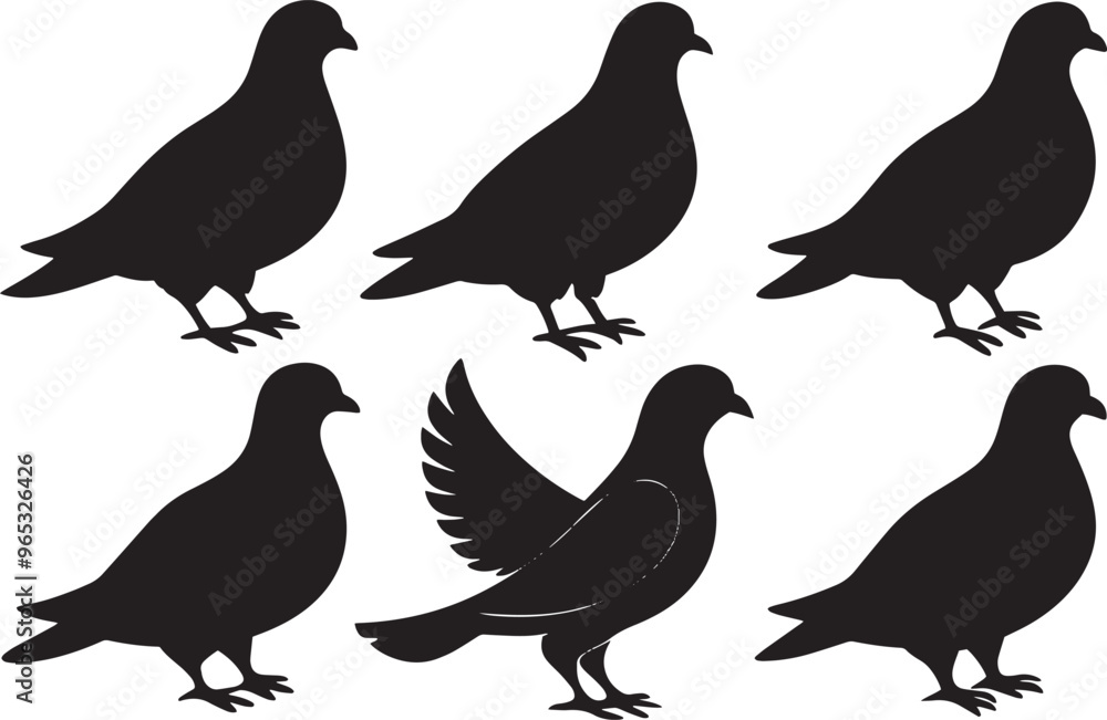 Pigeon Elegant Silhouette Vector Illustrations Pigeon Elegant Silhouette Vector Illustrations