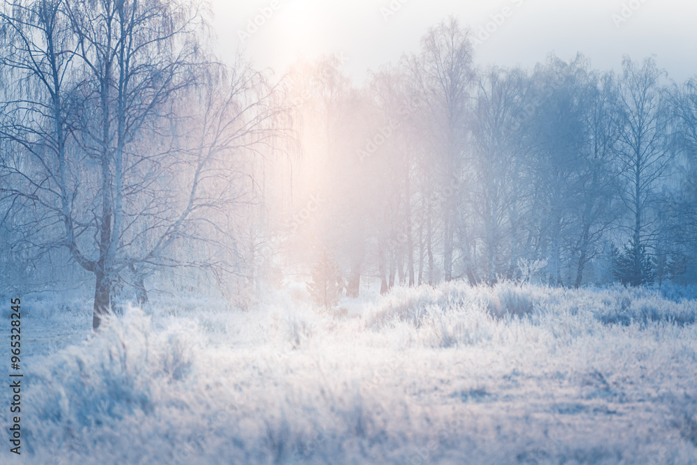 Frost-covered trees and grass in winter forest at foggy sunrise.