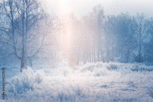 Obraz na płótnie Frost-covered trees and grass in winter forest at foggy sunrise. w salonie