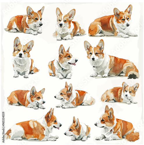 Set of corgi dogs in different poses in a watercolor style. Vector illustration