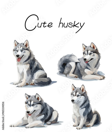 White And Gray Adult Siberian Husky Dog, Pooch Puppy and Thai Kitten are Friends. House pets.