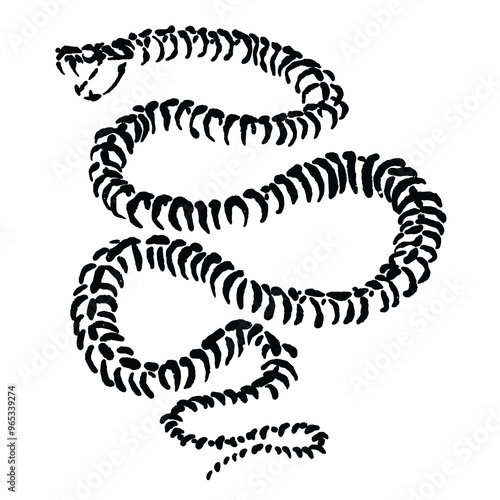 vector sketch illustration of a deadly poisonous snake skeleton